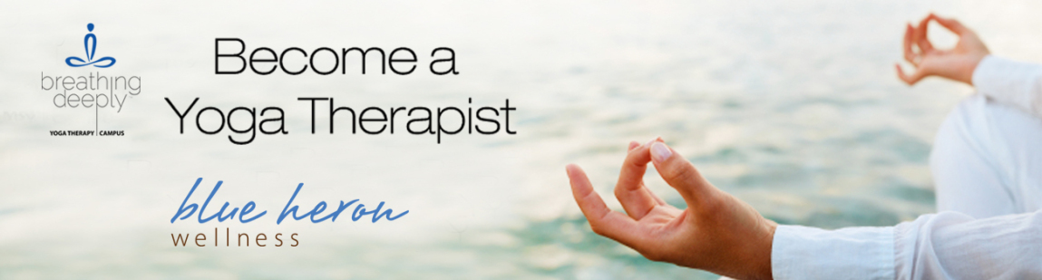 Blue Heron Wellness Health Coaching