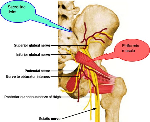 Cialis In Nerve Damage