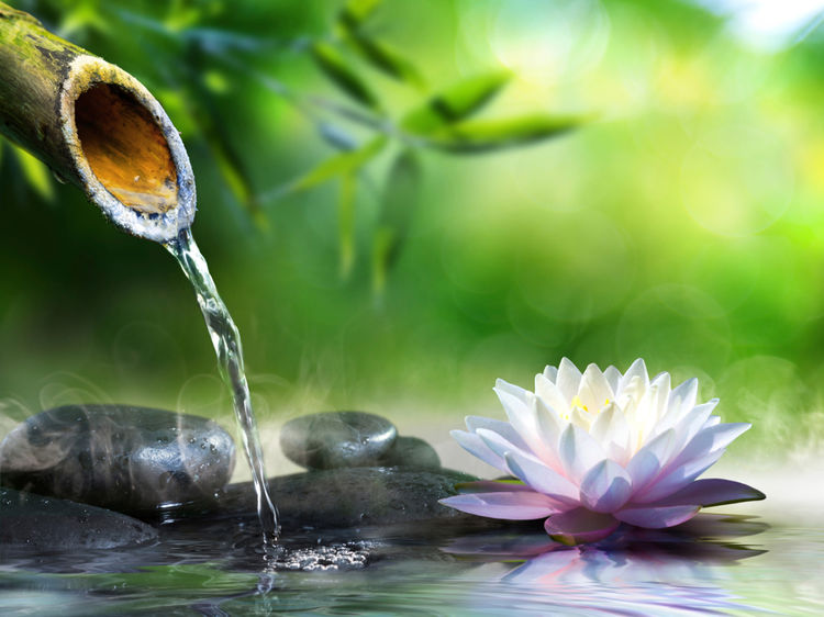 5-idees-pour-faire-un-jardin-zen