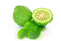bergamot