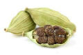 cardamom_copy