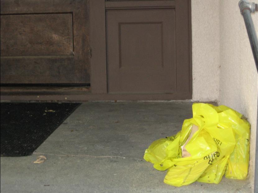 Dear Phone Book, Thanks for the Memories