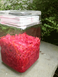 Sauerkraut-2