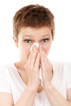 Allergies from Pixabay