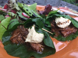 shredded beef wraps