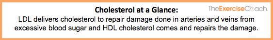 HDL-and-LDL-Cholesterol