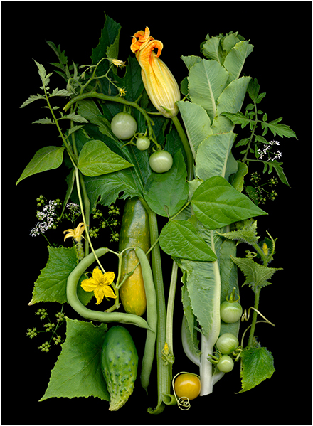ellen hovercamp squash blossom toms