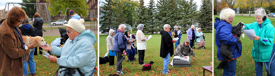 Blessing of Animals 2014
