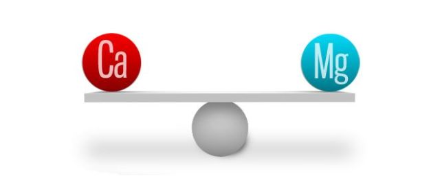 Cal_Mg_Balance1