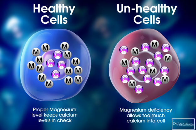 Magnesium_HealthyUnHealthy