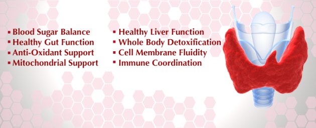 ThyroidChart_1024x1024