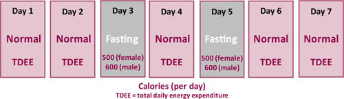 calories-per-day