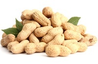 tasty-peanuts-with-leaves-hco