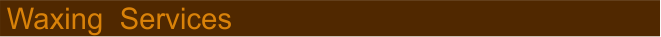 WSbanner