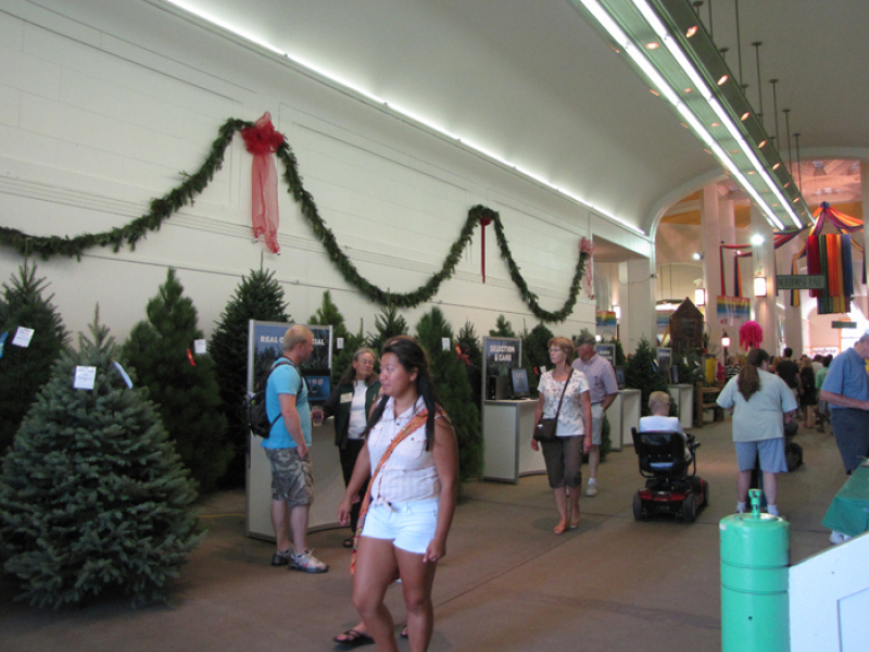 minnesota grown christmas trees at the mn state fair minnesota grown christmas trees at the mn state fair