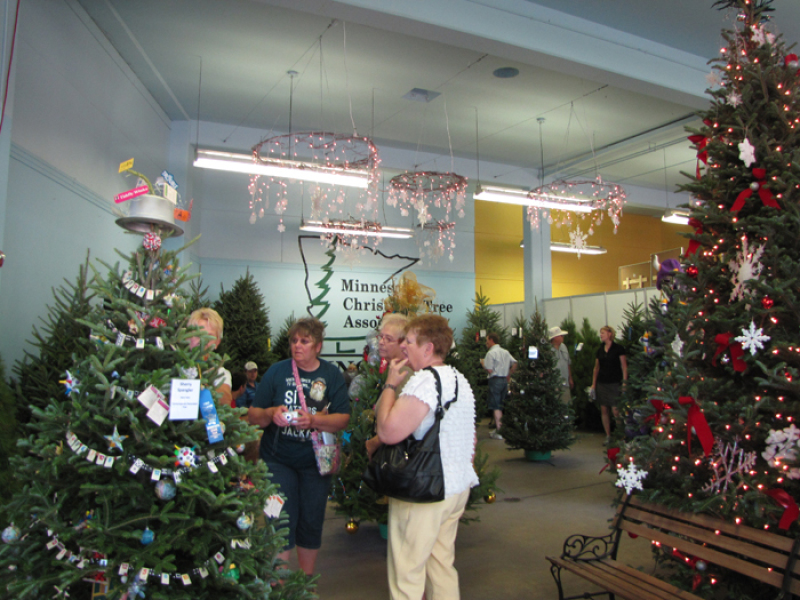minnesota grown christmas trees at the mn state fair minnesota grown christmas trees at the mn state fair