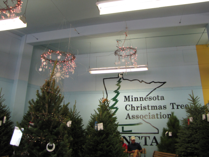 minnesota grown christmas trees at the mn state fair minnesota grown christmas trees at the mn state fair
