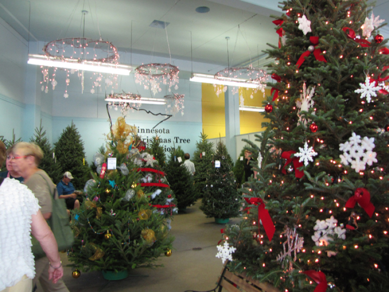minnesota grown christmas trees at the mn state fair minnesota grown christmas trees at the mn state fair