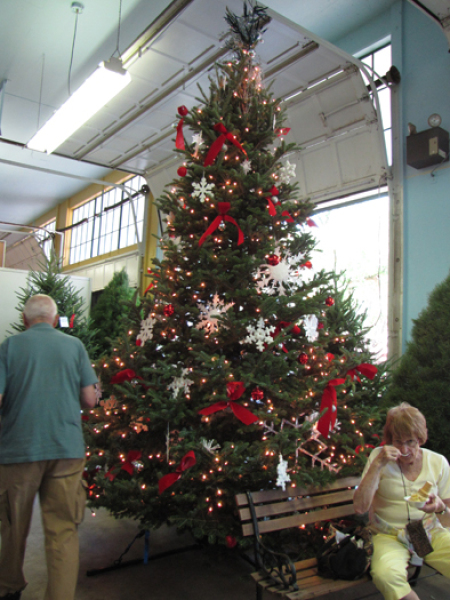 minnesota grown christmas trees at the mn state fair minnesota grown christmas trees at the mn state fair