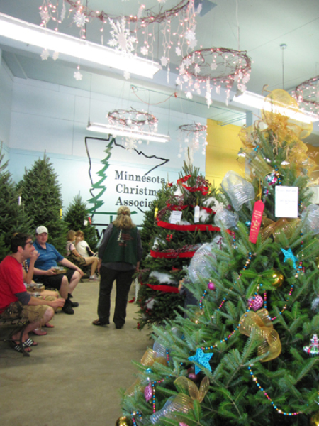 minnesota grown christmas trees at the mn state fair minnesota grown christmas trees at the mn state fair