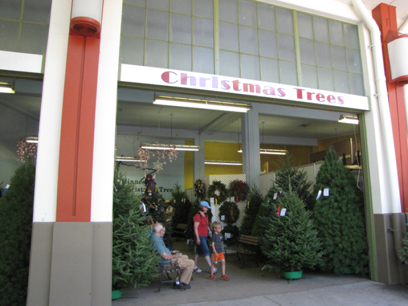 minnesota grown christmas trees at the mn state fair minnesota grown christmas trees at the mn state fair