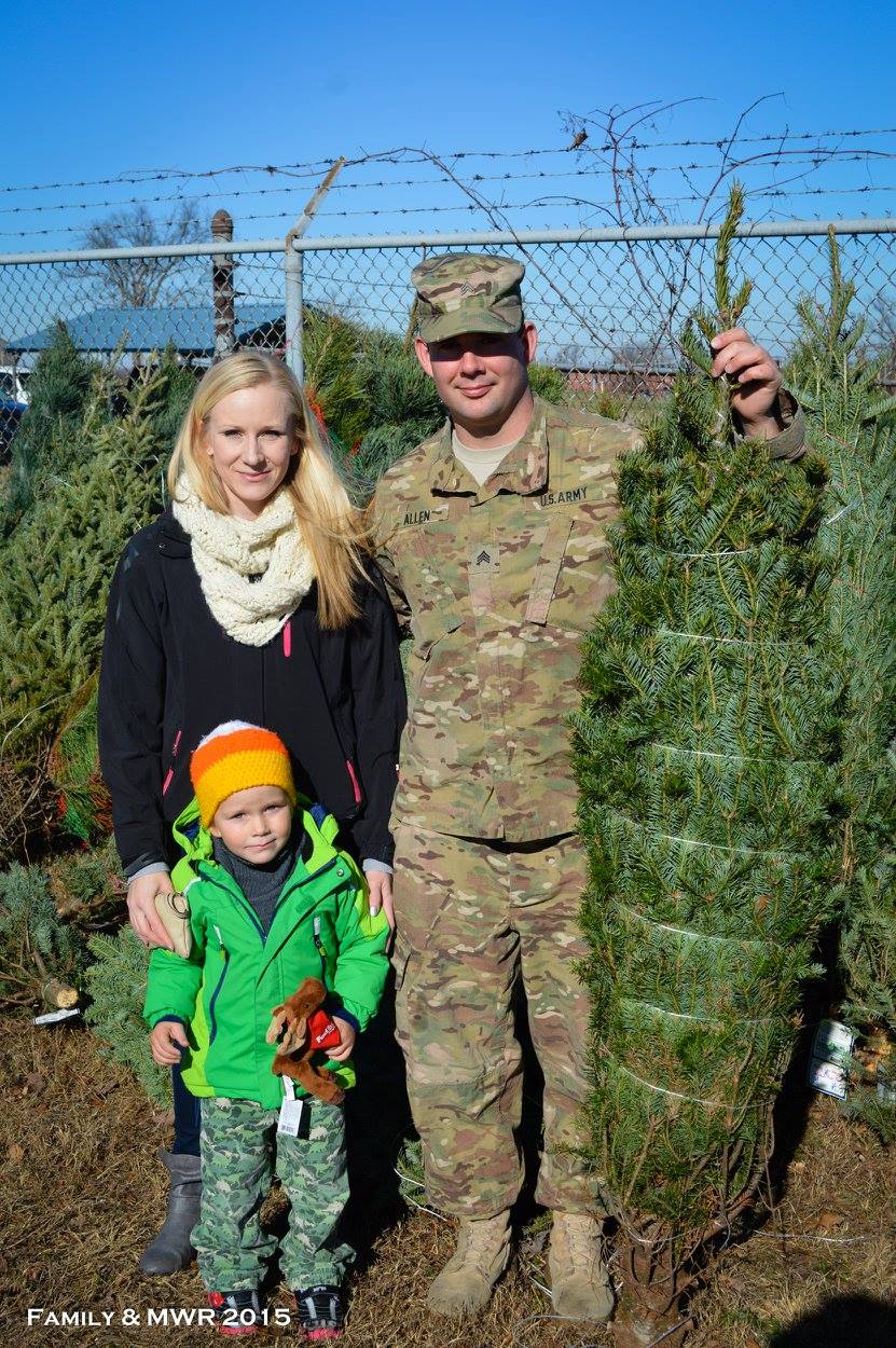 minnesota christmas tree association minnesota christmas tree association