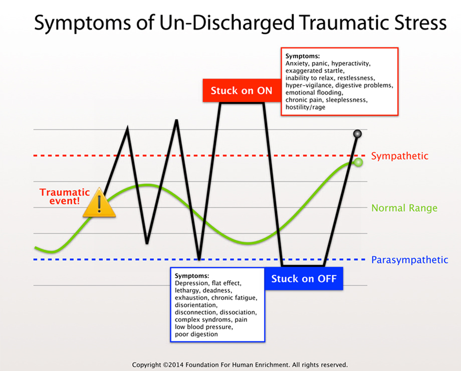 Polyvagal Theory Chart