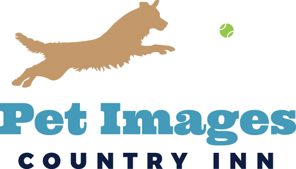 Pet Images Country Inn Boarding Grooming Daycare Mn