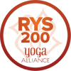 RYS 200-BASIC-ORANGE-100
