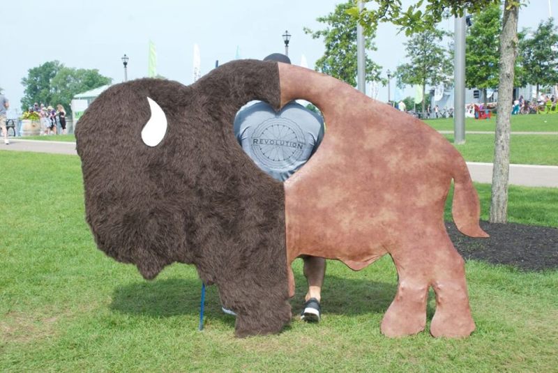 buffalove