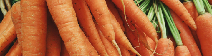 Could one conversation change your life?