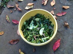 bok choy