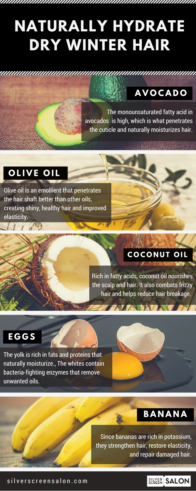 jan2017-Dry-Frizzy-Hair-Infographic