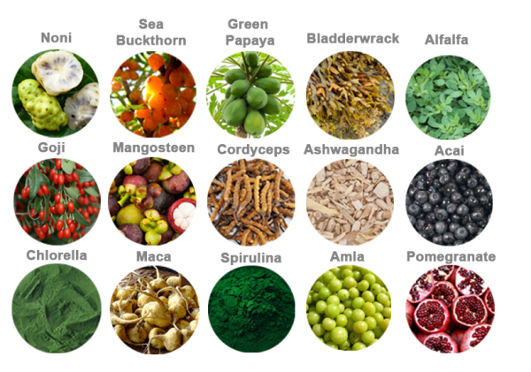 Powerootz-superfoods