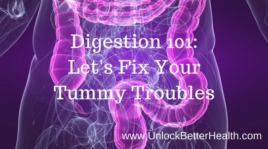 Digestion 101