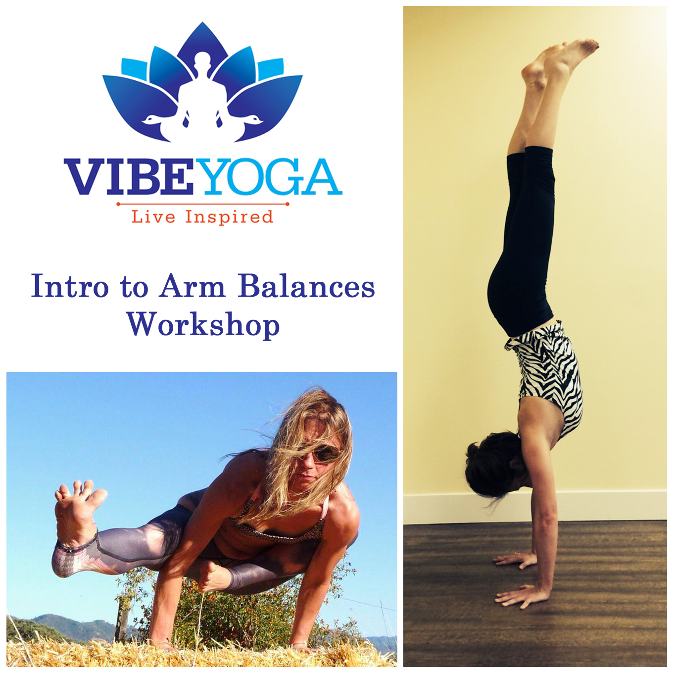 Arm Balances workshop photo 2_copy