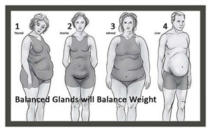 Hormones-determine-your-shape-and-your-health-Image-credit-to-Carmen-Rodriguez-edited-300x188_copy