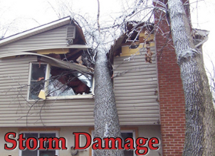 banner_storm