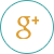 icon-google