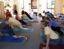 Sunshine Coast Yoga