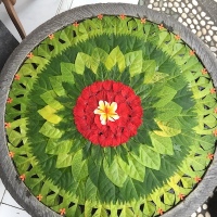 Yoga in Daily Life Retreat Bali