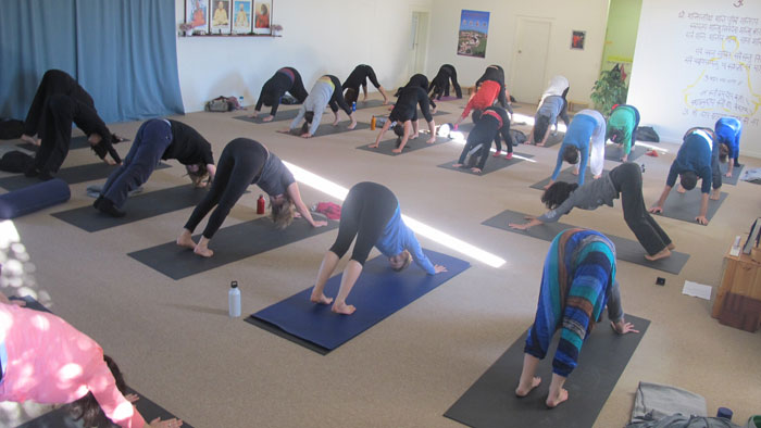 Yoga in Dailu Life Melbourne