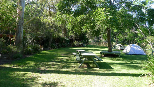 Camping: Yoga in Daily Life New Year Retreat