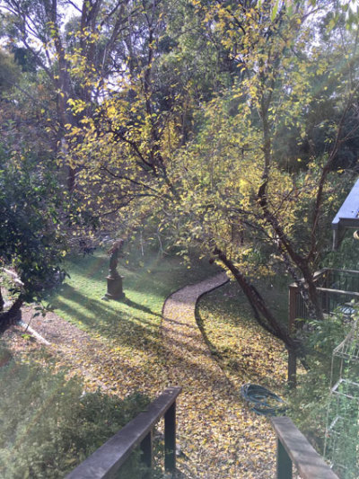 garden path