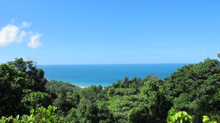 Yoga in Daily Life Retreat