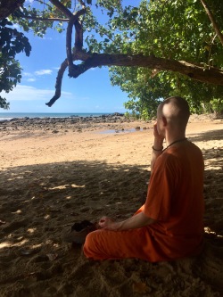 Yoga in Daily Life Retreat