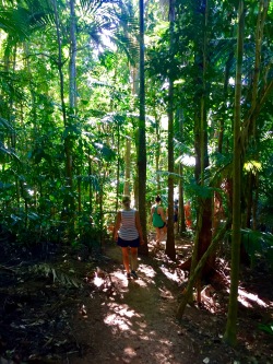 Yoga in Daily Life Retreat