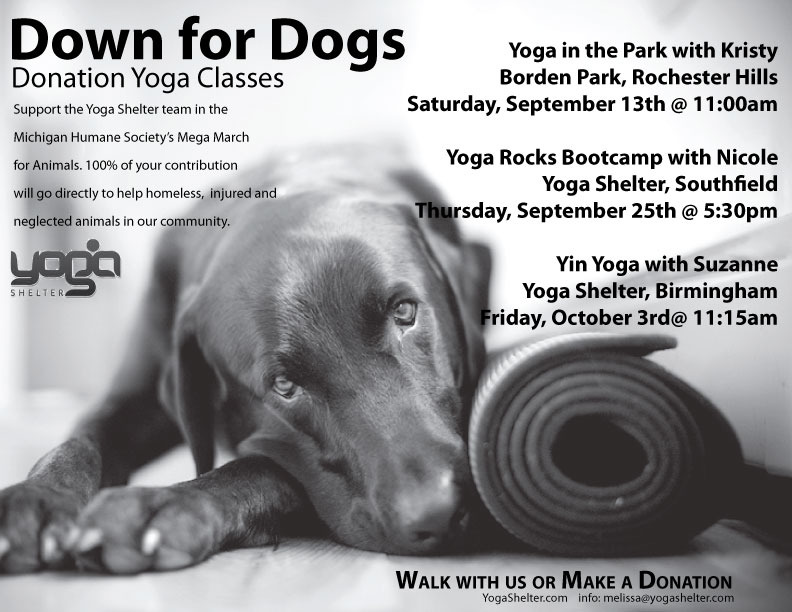 Down-for-Dogs_copy