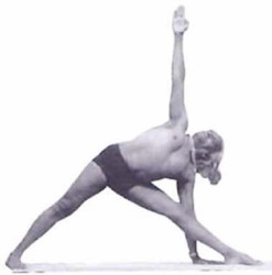 Triikonasana