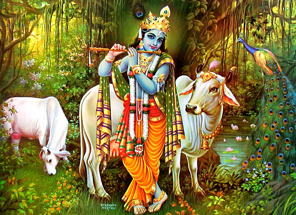 1271_krishna-cow-wallpaper-02_copy